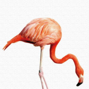 �t���~���S�̃t�@�u���b�N�p�l�� XL�T�C�Y�i100cm×100cm�j �E�H�[���A�[�g �Ǌ|�� ������� �k�� ���_�� �V�z�j�� �J�X�j�� �����j�� ������ ���� �Q�� ���r���O ���ڎ� �|�X�^�[ �C���e���A ��