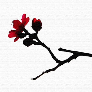 Ǌ|CeAɃt@ubNpl/ LTCYi57cm×57cmj EH[A[g Ǌ|  k _ |X^[ ͗lւ  ډB  CN JXj rO j 