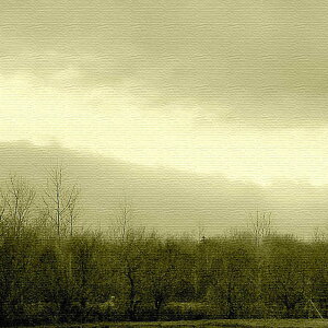 X̎ʐ^̃CeApl STCYi15cm×15cmj EH[A[g Ǌ|  k _ ډB  j Vzj  JXj ڎ ͗lւ |X^[ CN Ce