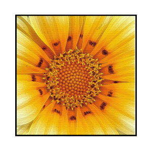 q}`[t̃|bvȃCeApl STCYi15cm×15cmj EH[A[g Ǌ|  k _ JXj CN rO ډB ڎ  CeA |X^[ Q