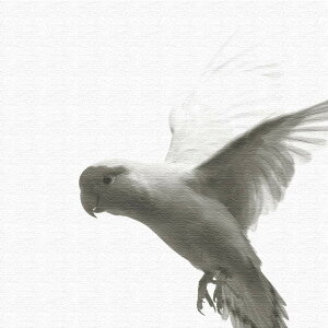 yA[gfz̃t@ubN{[h CeA G A[g Vv_ LTCY (57cm×57cm) Ǌ|  j rO _    Q CN ډB Ce