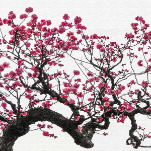 yA[gfz~̃t@ubN{[h CeA G A[g tHgOtB[ Vv STCY JXj Vzj ڎ  Ǌ| ډB rO  C[W`FW Q 