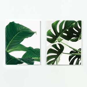 �y2���Z�b�g�z�i�`�������̃Z�b�g �i�`������ �O���[�� 2���Z�b�g( 32×41cm 2��) �E�H�[���A�[�g �Ǌ|�� ������� �k�� ���_�� �V�z�j�� �J�X�j�� �����j�� ������ ���� �Q�� ���r���O ���ڎ� 
