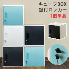 送料無料 鍵付き ロッカー ロータイプ 1人用 キューブBOX鍵付ロッカー かぎ付き 収納ボックス キューブボックス 棚 収納 リビング おしゃれ スリム 本棚 オフィス収納 コンパクト 連結 個人用ロッカー スチール 連結 ジョイント カラーボックス オフィス収納