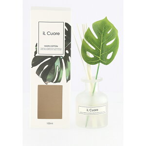  6 CNI[fBt[U[ fBt[U[ [hfBt[U[[tOX tOX F 100ml XeBbN KX{g r Ɏqr A}  C