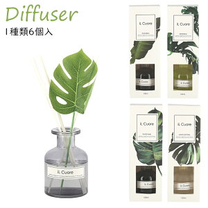  6 CNI[fBt[U[ fBt[U[ [hfBt[U[[tOX tOX F 100ml XeBbN KX{g r Ɏqr A}  C