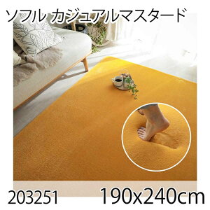 \t 190x240cm JWA}X^[h O }bg rOO ׂ~߉H 􂦂  ᔽE^ I[V[Y  zbgJ[ybg g[ 