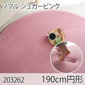 \t 190cm~` VK[sN O }bg rOO ׂ~߉H 􂦂  ᔽE^ I[V[Y  zbgJ[ybg g[ 