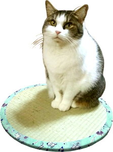 G ˂2 ybgNbV ybg}bg 킢 LNbV Lp ybgp  LObY  ^ zc