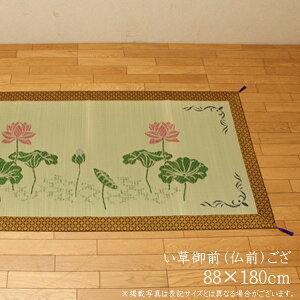  Y ܐD OiOj @̉ 88×180cm {  SU SUV[g a a @ @v ~ ފ  蕨