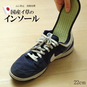 C\[ fB[X L R wC\[x lCr[ 22cm Ȃ iJWL ~