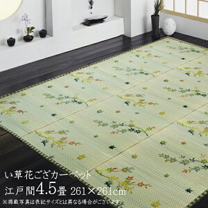 O ėp  ~ 4.5 Ԃ  J[ybg J[ybg  O O _ gt R ]ˊ4.5i261×261cm) ~J[ybg C  ~  