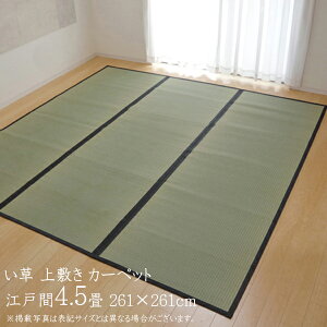 O Y  ~ 4.5 J[ybg J[ybg  O Vv ȐD  ]ˊ4.5 261×261cm F{YC ~J[ybg C  ~   