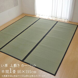 O Y  ~ 1 J[ybg J[ybg  O Vv ȐD  {1i95×191cmj F{YC ~J[ybg C  ~    