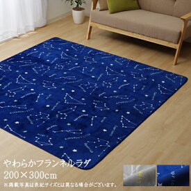 送料無料 カーペット おしゃれ ラグマット ラグ 抗菌 防臭 ウォッシャブル フランネル WSミリオン RUG 長方形 約200×300cm 滑り止め すべり止め フロアマット ホットカーペットカバー 床暖房対応 床暖対応 オールシーズン 高級感 絨毯 じゅうたん 一人暮らし シンプル 北欧