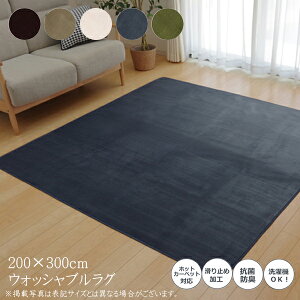 送料無料 カーペット おしゃれ ラグマット ラグ 4畳 洗える 抗菌 防臭 無地 ピオニー 長方形 約200×300cm 滑り止め すべり止め フロアマット ホットカーペットカバー 床暖房対応 床暖対応 オー