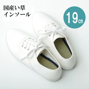  C\[ WjA L R C\[ lCr[ 19cm ~ Ȃ iJWL   L x {