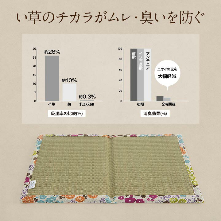 楽天市場】介護 サポート ヘルスケア デスクワーク用 足元クッション 
