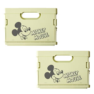 コンテナボックス ミニコンテナ ディズニー ミッキーマウス ミッキーマウス 折りたたみ 【同色2個セット】 9nc-dsmc A4サイズ 宮武