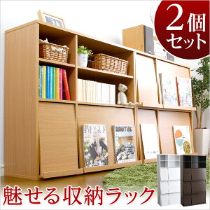 送料無料フラップ扉ディスプレイラック【2個セット】2列2段扉付フラップチェストフラップラックラックディスプレイ棚書棚本収納チェスト本棚魅せる収納リビング収納木製モダンシンプル北欧白ホワイトナチュラルダークブラウンCDラックDVDラック
