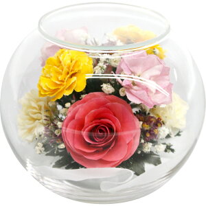 花 オブジェ 生花の人気商品 通販 価格比較 価格 Com 花 オブジェ 生花の人気商品 通販 価格比較 価格 Com