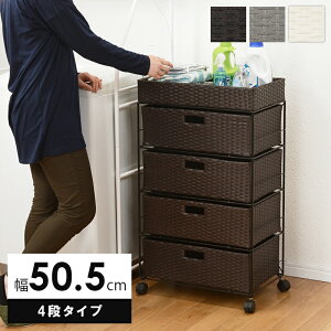 h[bN LX^[t 50.5cm 5i h[oXPbg bN i  [ ubN/O[/zCg h[`FXg m[ e `FXg 킢 @[ T