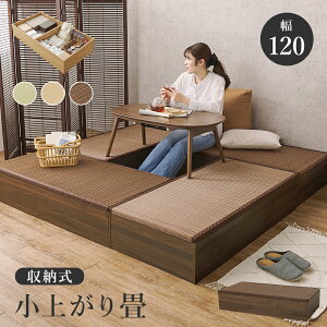 t[Xc[ オ 120cm [^Cv  uE/ubN/i`