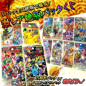 yŃpbN / ؃r[TIz |PJ[h 5pbN pbN A  _ SĐł݂̂ō\I u25thpbNv or uVCj[X^[v or uVMAXNC}bN