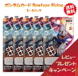 yŋz\z K_J[hQ[ Newtype Rising 3~5pbNZbg yGD01z o_C BANDAI