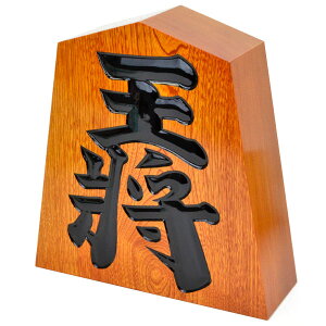    1 30cm×28.5cm(ݖ9cm)