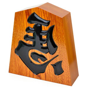  n  1 30cm×28.5cm(ݖ9cm)