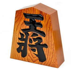    8 24cm×22.5cm(ݖ7.2cm)