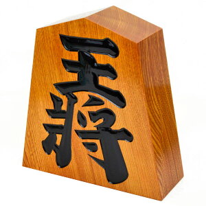    9 27cm×25.5cm(ݖ9cm)