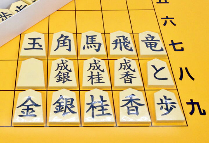 楽天市場】教授用将棋セット(携帯用バッグ付き) ※将棋の解説や指導に 
