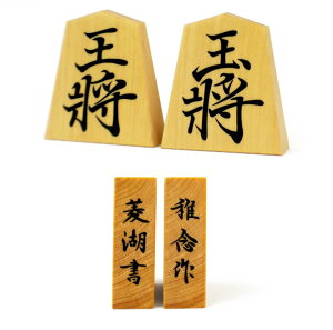 ���������� �t�O�� �䑠���Y�{���k �H�Ώ� �ʎ�d�� ���ː������t��