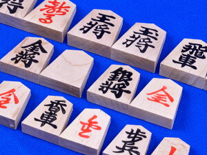  AIJ qn 鎚 t ҂qlɂ₷⑾̖̏̂ؐ