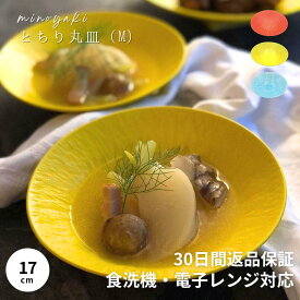【300円オフクーポン 12/19 10:00迄】 中鉢 おしゃれ 食器 和食器 煮物鉢 取皿 取り皿 鍋 そうめん 素麺 かき氷 蕎麦 冷やし中華 節句 鉢 うつわ 器 ギフト 贈り物 赤 黄色 水色 お皿 皿 陶器 サラダボウル 和食 美濃焼 美濃焼 丸皿 とちり丸皿 M