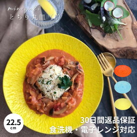 【300円オフクーポン 12/19 10:00迄】 大鉢 大皿 おしゃれ 和食器 素麺 器 かき氷 蕎麦 冷やし中華 和食 パスタ皿 カレー皿 サラダ 中華料理 高級 食器 ギフト 贈り物 陶器 煮物鉢 深皿 美濃焼き 丸皿 どんぶり プレゼント 結婚祝い お祝い とちり丸皿 L 一部 予約