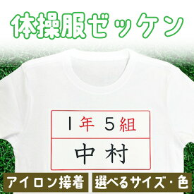 ゼッケン 体操服 名前シール アイロン 名前 印刷 名入れ 水着 スイミング プリント 文字 小学校 保育園 幼稚園 入学準備 入園準備 ネームシール 水泳 運動会 マラソン 陸上 テニス 球技 プール お名前シールSTORE