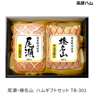 Qn n ① EYR nMtg TB-301 {Xn |[N\[Z[W Y100gp 񂹃O 2025N Ε Ε Ε  NX}X ~Mtg ܂ j 