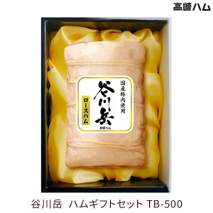 Qn n ① JxV[Y TB-500 Jx [Xn Y100gp 񂹃O 2025N Ε Ε Ε  NX}X ~Mtg nMtg A j  ԗ M