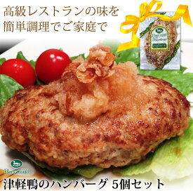 【大阪 ボンカナール】 青森県産 合鴨ハンバーグ 160g×5袋入り 5人前 お取り寄せグルメ 青森県産バルバリー種100％使用 ご自宅用 ギフト 和風ハンバーグ カモ カモ肉 鴨 鴨肉 鴨専門店 大平産業 送料無料 冷凍配送 産地直送 限定数再販売