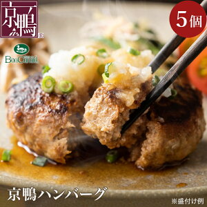  {Ji[ Ⓚ no[O 160g 5 HB43K v~Ano[O uh R_Y    񂹃O ̓ ̓ hV̓  Ε a Mtg 