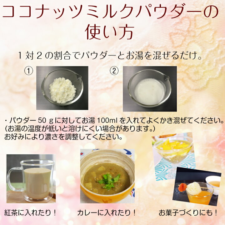 自然健康社 ココナッツミルクパウダー 100g 5個 フィリピン産 22年最新海外