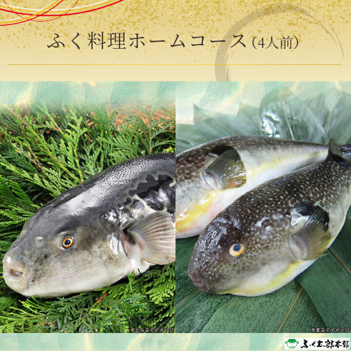期間限定で特別価格 6 19限定 2 ふく料理にぎわいフルコース 4人前 ふぐ フグ 産地直送 産直 ふく太郎本部 Materialworldblog Com