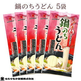 【宮城 はたけなか製麺】 【無塩】 鍋のちうどん 200g×5袋 10人前 下ゆで不要 食塩不使用 減塩食生活 鍋にそのまま入れるだけ くっつきにくい麺 饂飩 乾麺 平麺 鍋うどん カレーうどん ギフト 送料無料 常温保存可 北海道産小麦使用 東北大学産学連携開発商品 ネコポス