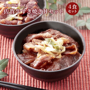 y ⓀHiz ˂ ꋍĂZbg 4lO YĎgp Yјagp   јa qp WȒP TVЉꂽlCi j[ 