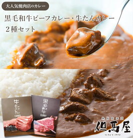 【大阪 但馬屋】 中辛カレー2種セット 但馬屋監修 黒毛和牛ビーフカレー＆牛たんカレー 農林水産大臣賞受賞の焼肉店 一頭丸ごと熟成肉で大人気の焼肉店 絶品カレー レトルトカレー カリー お取り寄せグルメ ネコポス 簡単調理 湯煎調理 送料無料 常温保存 ミッション