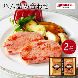 y[}Cz LOHMEYER x 2Mtg 101-515 Yؓgp [Xn {Xn [Xňc SݓXuh 񂹃O  Ε 蕨 Mtg ①z 