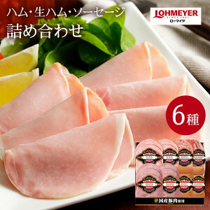 y[}Cz LOHMEYER x 6Mtg 101-555 Yؓgp n n \[Z[W [Xňc SݓXuh 񂹃O  Ε 蕨 Mtg ①z  